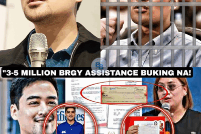 Kakapasok Lang! VICO SOTTO Kakasuhan❗ Matapos I Bulgar Ang 3-5MILLION Budget per BRGY❗SARAH UMAPILA❗