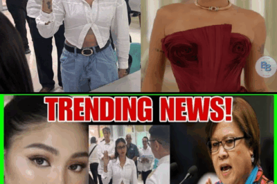 NADINE LUSTRE SIYA PALA ANG DINEMANDA DAHIL DITO|LEILA DE LIMA SUPORTADO SI NADINE LUSTRE