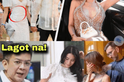 Chiz Escudero Itinangging kanya ang Pinagbubuntis ni Heart Evangelista!