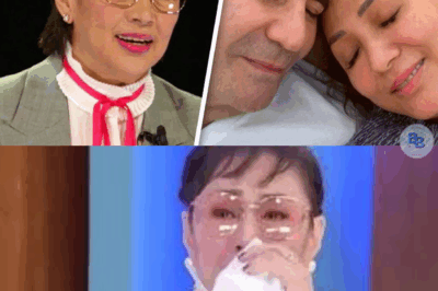 HEARTBREAKING MOMENT! VILMA SANTOS Breaks Down in Tears — Finally Confesses the Painful Truth About LUIS MANZANO to TITO BOY: “I can’t hide it any longer…