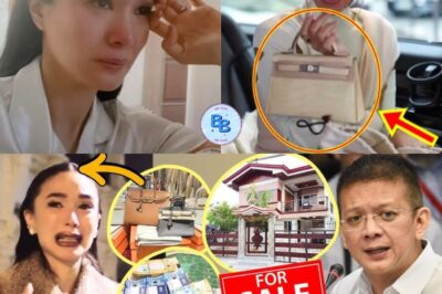 OMG! HEART EVANGELISTA IBEBENTA LAHAT NG HERMÈS BAGS AT BAHAY NI CHIZ ESCUDERO MATAPOS HIWALAYAN!