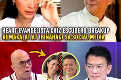 SH0CKING: CHIZ ESCUDERO NAGSALITA NA! TUNAY NA DAHILAN NG HIWALAYAN KAY HEART EVANGELISTA, IBINUNYAG NA