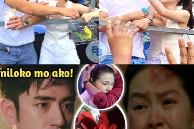 Shocking Crisis Hits Barbie Forteza and David Licauco’s Relationship – Fans in Tears as Major Problem Threatens Their Future Together! OMG, What Happened Behind the Scenes?