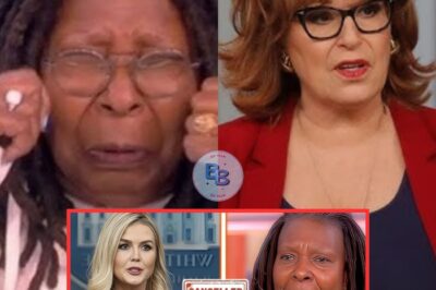 The hosts of The View issue an apology to Karoline Leavitt for their controversial comments
