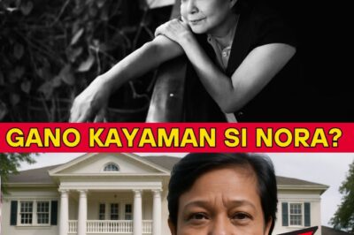 SH0CKING SECRETS EXPOSED: Nora Aunor’s Hidden Mansion, Hidden Lands, and the Vault That Terrified Everyone—Now Finally Unlocked!