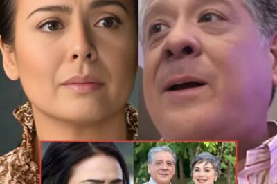 Dawn Zulueta NAGSALITA NA sa HIWALAYAN NILA ni Anton Lagdameo ANG KATOTOHANAN!