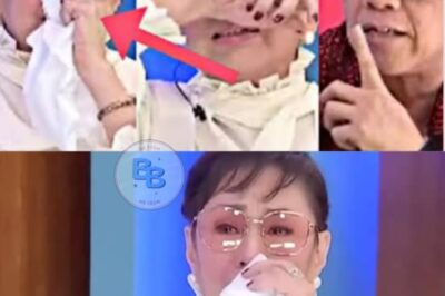 HEARTBREAKING MOMENT! VILMA SANTOS Breaks Down in Tears — Finally Confesses the Painful Truth About LUIS MANZANO to TITO BOY: “I can’t hide it any longer…”