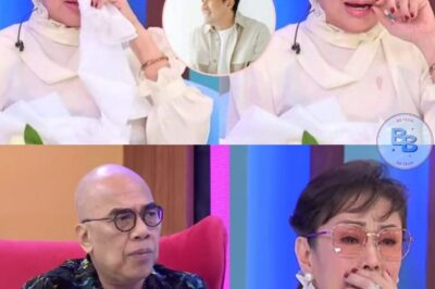 LUHANG TOTOO! Vilma Santos, Di Napigilan ang Iyakan kay Tito Boy—’Di Na Raw Kinaya ang Sakit Dahil kay Luis Manzano!