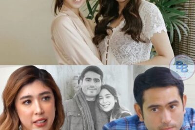 DANI BARRETTO SUMABOG NA! BINUNYAG ANG SAKITAN SA LIKOD NG JULIA-GERALD HIWALAYAN AT ANGELICA PASABOG!