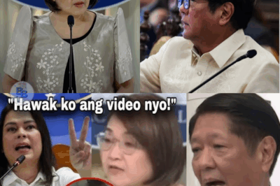 Sara Duterte, Binuking na ang Lihim na Ugnayan nina Claire Castro at Pangulong Bongbong Marcos?! Isang Rebelasyon na Yumanig sa Buong Bansa!