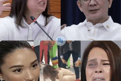 Sara Duterte Biglang Kumpronta si Heart Evangelista Matapos Umugong ang Balitang May Lihim Itong Relasyon kay Chiz Escudero – May Pagsabog Ba sa Likod ng Glamour?