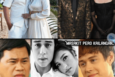 NETIZENS NALUNGKOT SA NAGING PAG-AMIN NI ENRIQUE GIL KAY LIZA SOBERANO | PANUORIN
