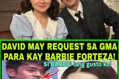 DAVID LICAUCO, HUMILING SA GMA BOSSES PARA KAY BARBIE FORTEZA—ANO KAYA ANG SPECIAL REQUEST NIYA?