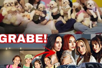 From Global Fame to Backlash: 4th Impact’s Shocking Journey—Why Their Dogs Once Sparked Controversy and Where They Are Now!