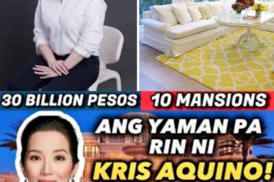 Kris Aquino’s Billion-Peso Fortune Unveiled! Shocking Viral Clip Reveals Her Vast Wealth—From Real Estate and Offshore Accounts to Lavish Properties and Secret Investments! 😱 Netizens Stunned by the Magnitude of Her Riches—Could She Be the Wealthiest Celebrity in Philippine Entertainment History?