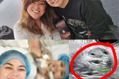Ice Seguerra, Sa Wakas Ibinunyag na ang Misteryosong Aktor na Tahimik na Nag-donate ng $perm Para Magka-baby Sila ni Liza Dino; Reaksyon ni Liza, Nakakagulat!