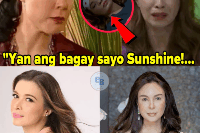 📰 SHOCKING! Sunshine Cruz Rushed to Hospital After Alleged SLAP from Gretchen Barretto Over Atong Ang!
