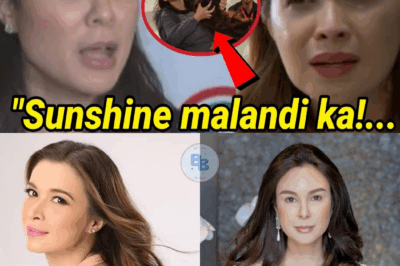 📰 FIERCE SHOWDOWN! Gretchen Barretto Confronts Sunshine Cruz Over Atong Ang – Drama Erupts!