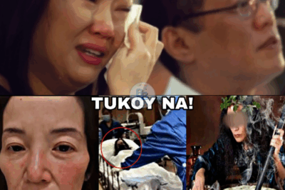 Unmasked at Last?! The Mystery Behind Kris Aquino’s Alleged “Curse” Has Taken a Terrifying Turn — Identity of the Accused Revealed and It’s More Sh0cking Than You Can Imagine!