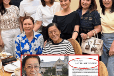 Lolit Solis’ Last Will REVEALED: Kanino Nga Ba Mapupunta ang Bilyong Ari-arian? Hindi Inaasahang Mga Pangalan ang Lumabas — Fans at Celebrities, Gulat na Gulat sa Nilalaman ng Huling Habilin!