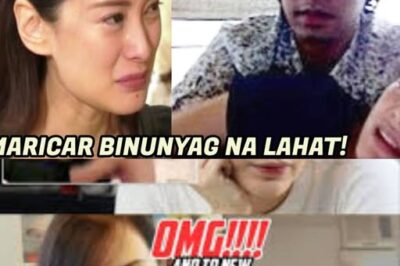 WIND AND WAVES RETURNS WITH A BANG! Maricar Reyes Finally SPEAKS OUT on the Scandal That Shook the Nation — Her SHOCKING Confession About the Hayden Kho Video Will Leave You SPEECHLESS! Secrets, Pain, and Redemption Revealed After Years of Silence!