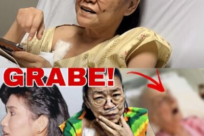 UNBELIEVABLE! Lolit Solis’ SHOCKING Final Days EXPOSED—The REAL Reason Behind Her Death Leaves Everyone Speechless… KARMA?