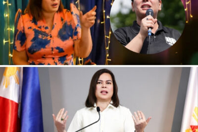 Sara Duterte says DILG should be professional after ‘playful’ class, work suspension alert