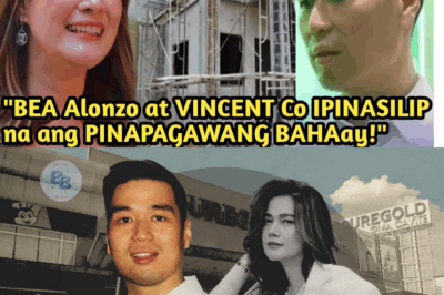 🏡 GRABE! Bea Alonzo at Vincent Co, Patapos Na ang Mansyon?! Silipin ang Napaka-Sosyal na Pinapagawang Bahay!