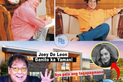 GANITO KAYAMAN ANG ISANG JOEY DE LEON! SIYA ANG NAG-IISANG TAGAPAGMANA!