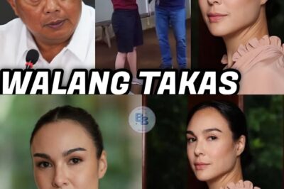 “Gretchen Barretto, Itinuturong Isa sa mga Mastermind sa Pagkawala ng mga Sabungero – Ano ang Kanyang Panig?”