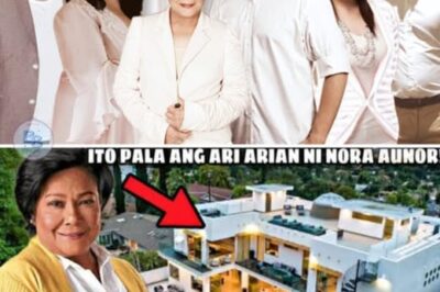 So here they are! Nora Aunor’s INHERITANCE | This is their property! Wow, they are so rich!