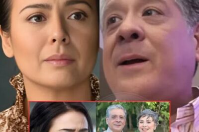 The Truth Is: Dawn Zulueta Finally Speaks Out About Her Breakup with Anton Lagdameo — The Heart-Wrenching Truth Behind Their Separation Will Leave You in Shock!