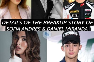 “Sofia Andres and Daniel Miranda: Unpacking the Breakup Rumors and Their Relationship Status”