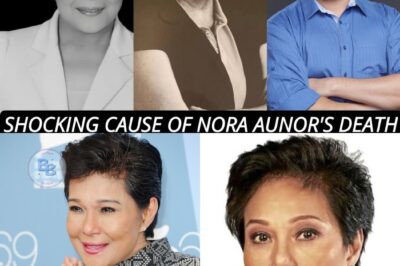 “The Cause of Nora Aunor’s Death: Understanding the Medical Complications and Her Lasting Legacy”