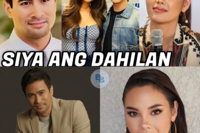 Sam Milby NAGSALITA NA sa HIWALAYAN NILA ni Catriona Gray DAHIL KAY Alden Richards
