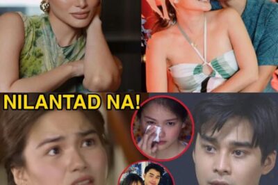 NAGSALITA NA! ELISSE JOS0N NILANTAD NA ANG TUNAY NA DAHILAN NG HIWALAYAN NILA NI MCCOY DE LEON!