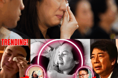 Unbelievable! Kris Aquino Stuns the World with a Surprising Announcement, and Willie & Sharon Can’t Contain Their Emotions!