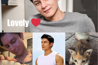 Hot cat daddy: Joseph Marco adopts stray kitten