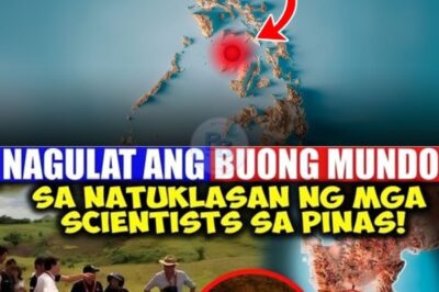 Shocking Discovery in a Hidden Cave: Filipino Scientists Unearth an Object Older Than Any Written Record – European Expert Stunned, ‘This Shouldn’t Exist!’ Could the Philippines Be Hiding Ancient Secrets That Could Completely Rewrite Human Evolution?