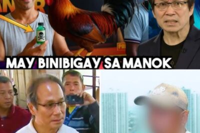 GRABE! SABONG SCANDAL LUMALA NA: Atong Ang at Gretchen Barretto, GALIT NA GALIT sa Nabunyag na Lihim ng Dayaan sa Arenas — HINDI MO AAKALAING GANITO KALALA!