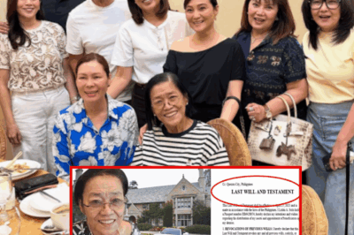 LOLIT SOLIS LAST WILL AND TESTAMENT❗❗KANINO MAPUPUNTA ANG LAHAT NG MGA NAIWANG YAMAN?