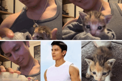 Joseph Marco adopts kitten he found in the rain