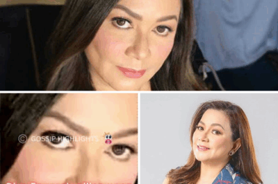 Dina Bonnevie nilinaw ang viral na komento ukol sa mga artistang magkamukha