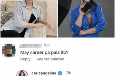 Carla Abellana, diretsahang sinagot ang “may career pa pala ito” na comment ng netizen