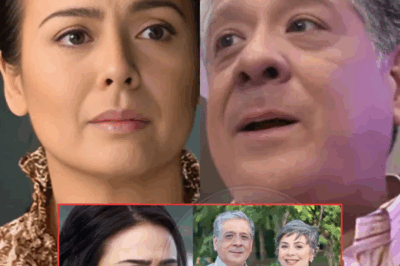 The Truth Is: Dawn Zulueta Finally Speaks Out About Her Breakup with Anton Lagdameo — The Heart-Wrenching Truth Behind Their Separation Will Leave You in Shock!