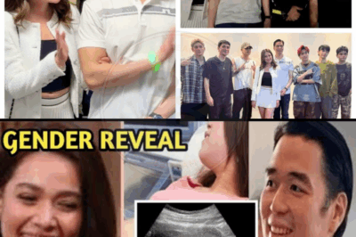 Could The Elaborate Gender Reveal Party Of Bea Alonzo And Vincent Co Be More Than A Joyful Announcement, Secretly Signaling A Break From Traditional Gender Roles, Challenging Our Ingrained Beliefs About Motherhood And Partnership In Power Couples, And Pushing Us To Question The Real Motivations Behind Their Public Celebration?