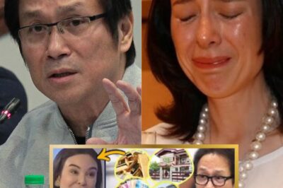 SHOCKING TURN OF EVENTS: Gretchen Barretto Evicted from Her Lavish Mansion? The Jaw-Dropping Rumors Behind Atong’s Alleged Power Move and Secret Property Sell-Off!
