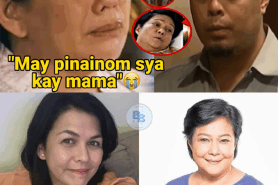 Lotlot de Leon ReveaIs the Heartbreaking Truth Behind Nora Aunor’s Passing – “She Carried This Pain for Years!”