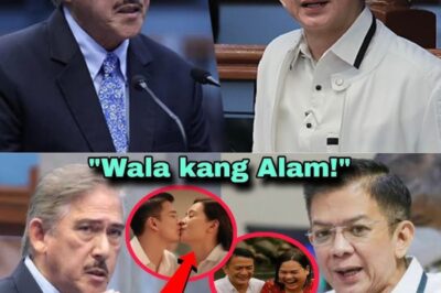 TITO SOTTO! IBINULGAR ANG LIHIM NA RELASYON NI CHIZ ESCUDERO AT VP SARA DUTERTE – SAKSI SA ISANG SCANDALONG MAGDUDULOT NG IMPEACHMENT TRIAL?