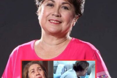HEARTBREAKING TURN: What Happened to Nova Villa Recently Has Left Fans in Tears and the Entire Industry in Shock